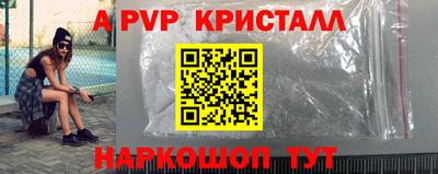 ECSTASY Канаш