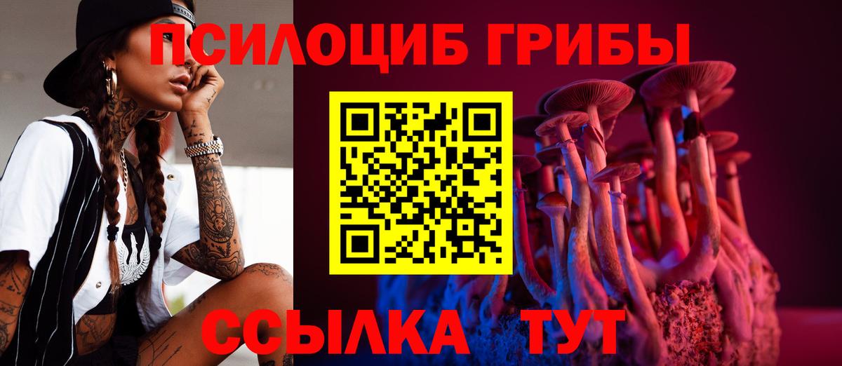 где купить наркотик  Вход с VPN  Псилоцибиновые грибы мицелий  Ленинск-Кузнецкий  Псилоцибиновые грибы MAGIC MUSHROOMS 